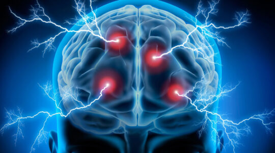 voies neurochimiques