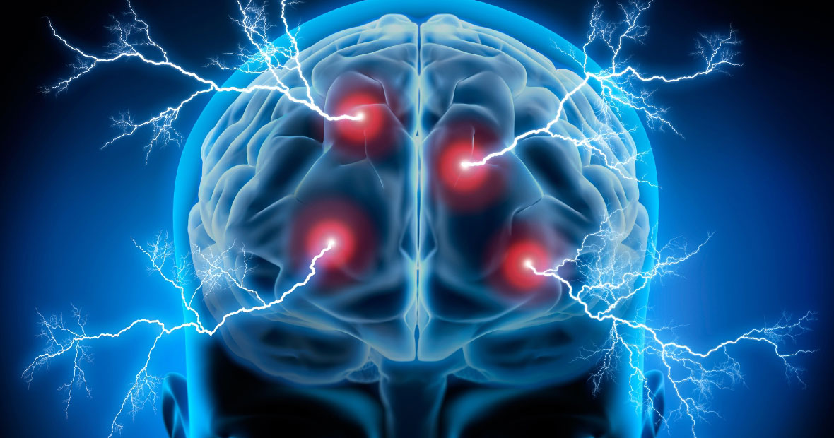 voies neurochimiques